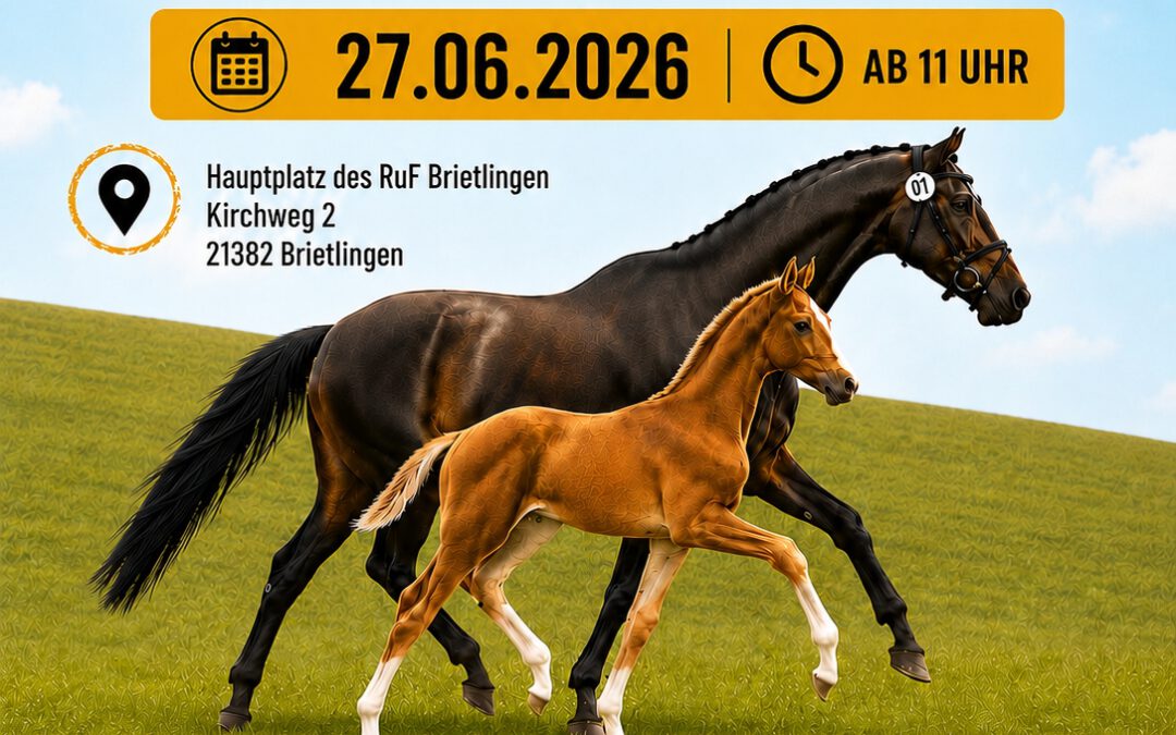 Fohlenschau des PZV Artlenburger Elbmarsch in Brietlingen